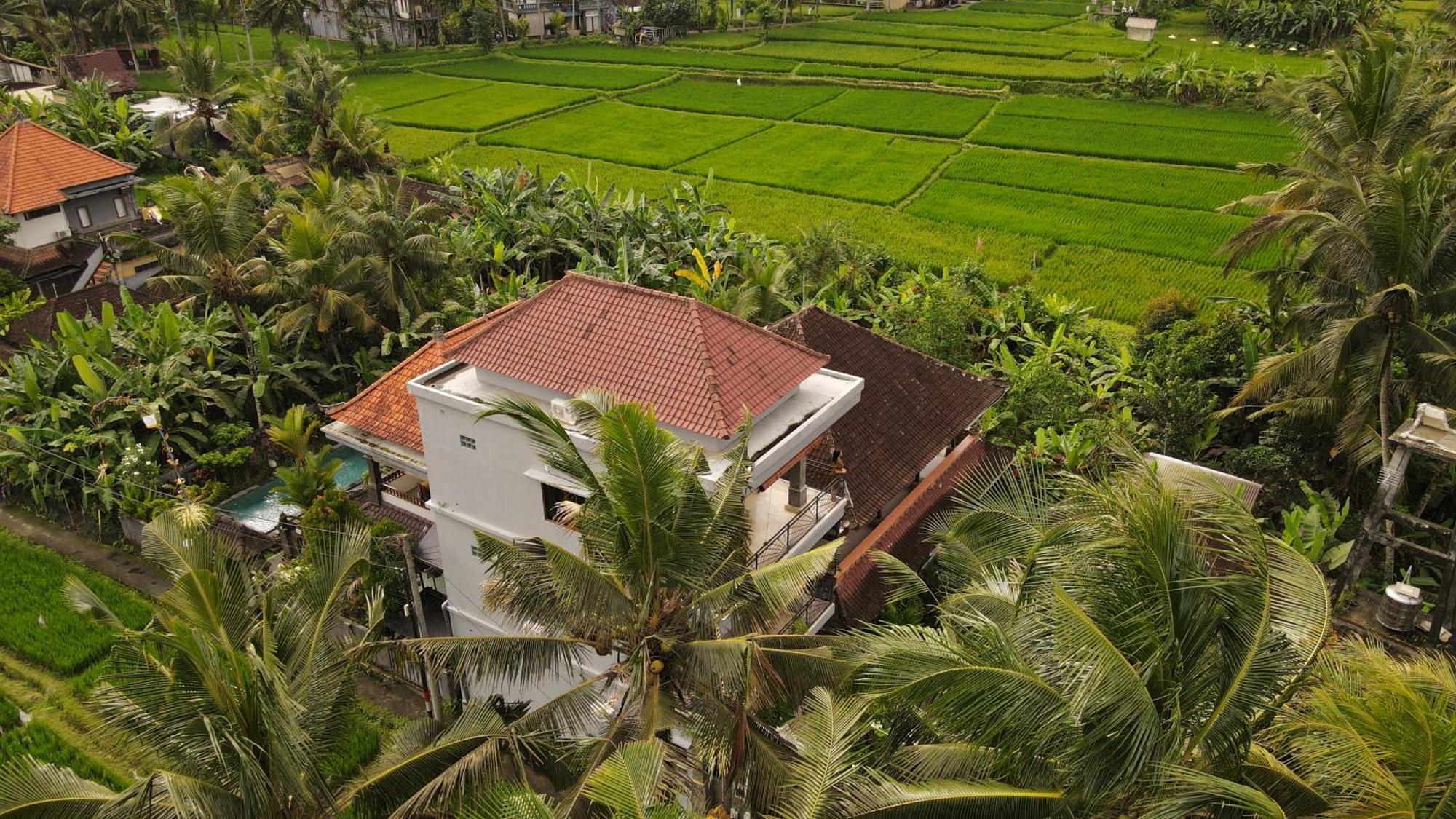 Nirwa 1 Ubud Guesthouse Kültér fotó