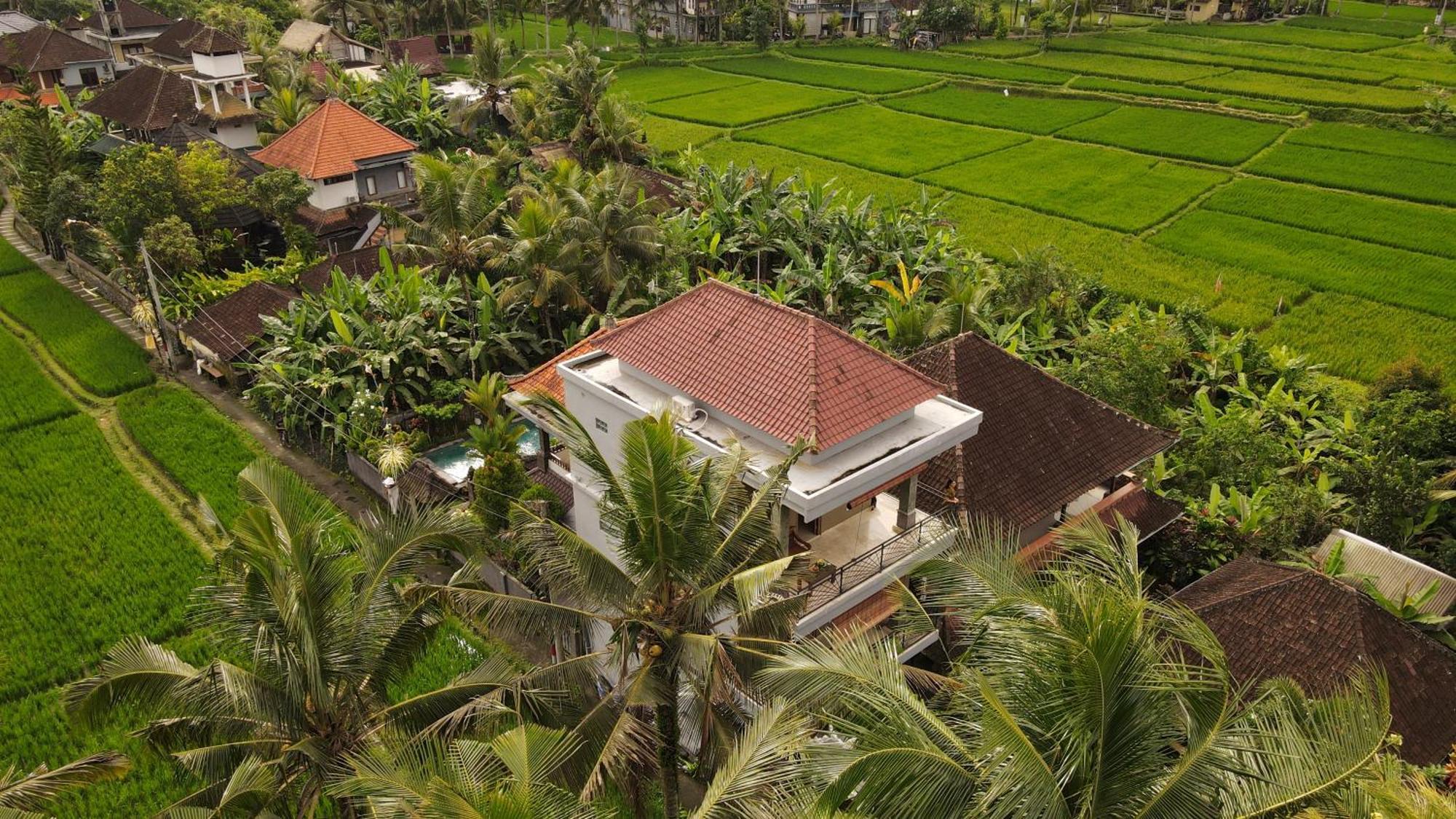 Nirwa 1 Ubud Guesthouse Kültér fotó